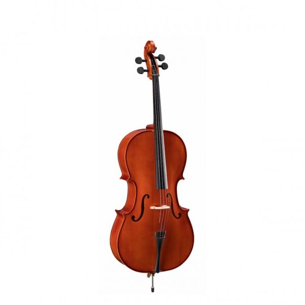 Soundsation VSCE-14 cello